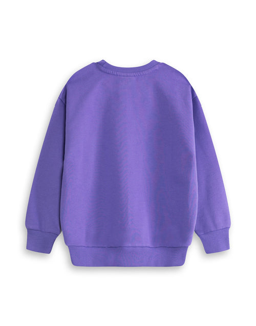 Room On The Broom Multi Character Unisex Kids Purple Sweatshirt