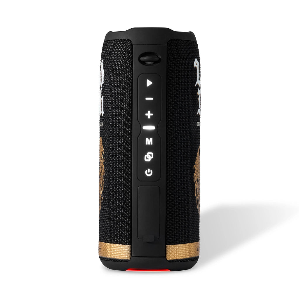 Sparkling Speaker